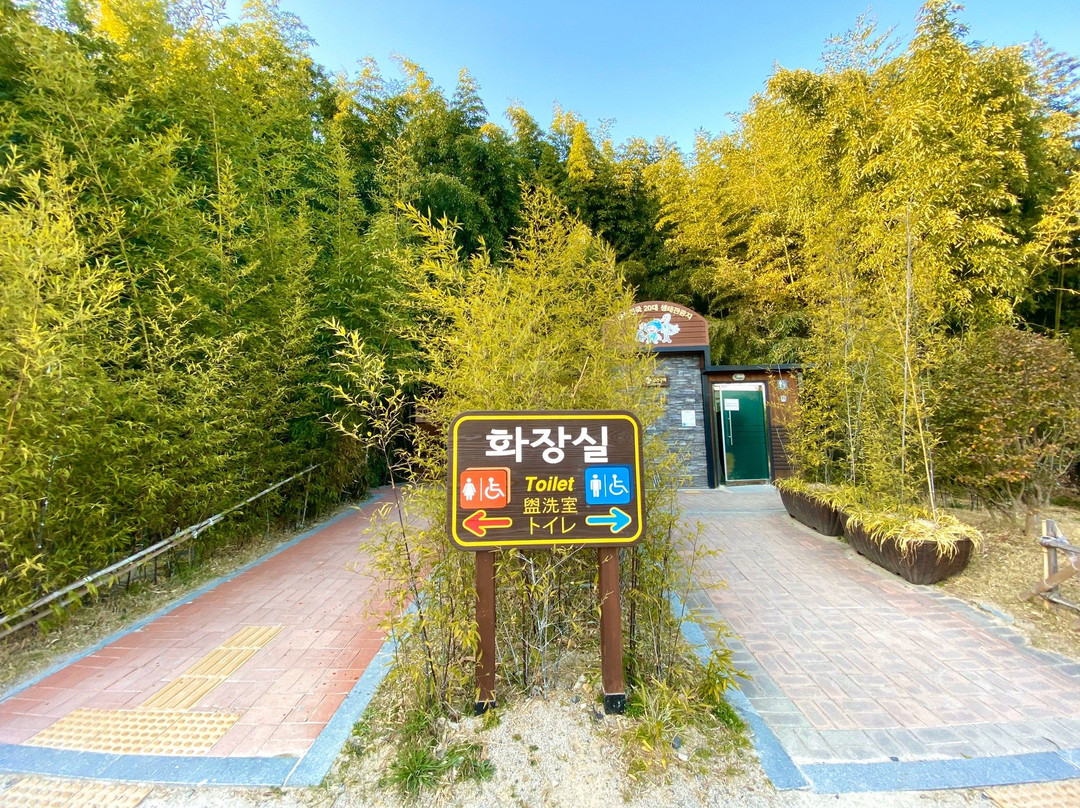 Taehwagang National Garden-蔚山必去景点