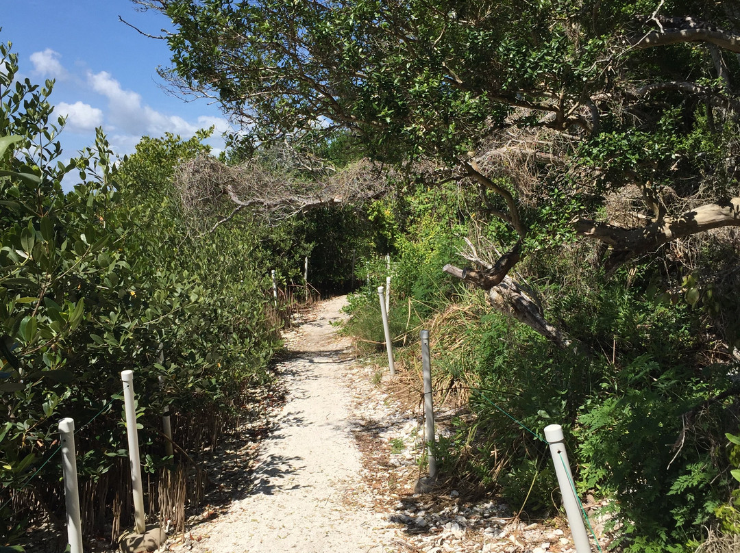 Turtle Mound National Historic Site景点图片