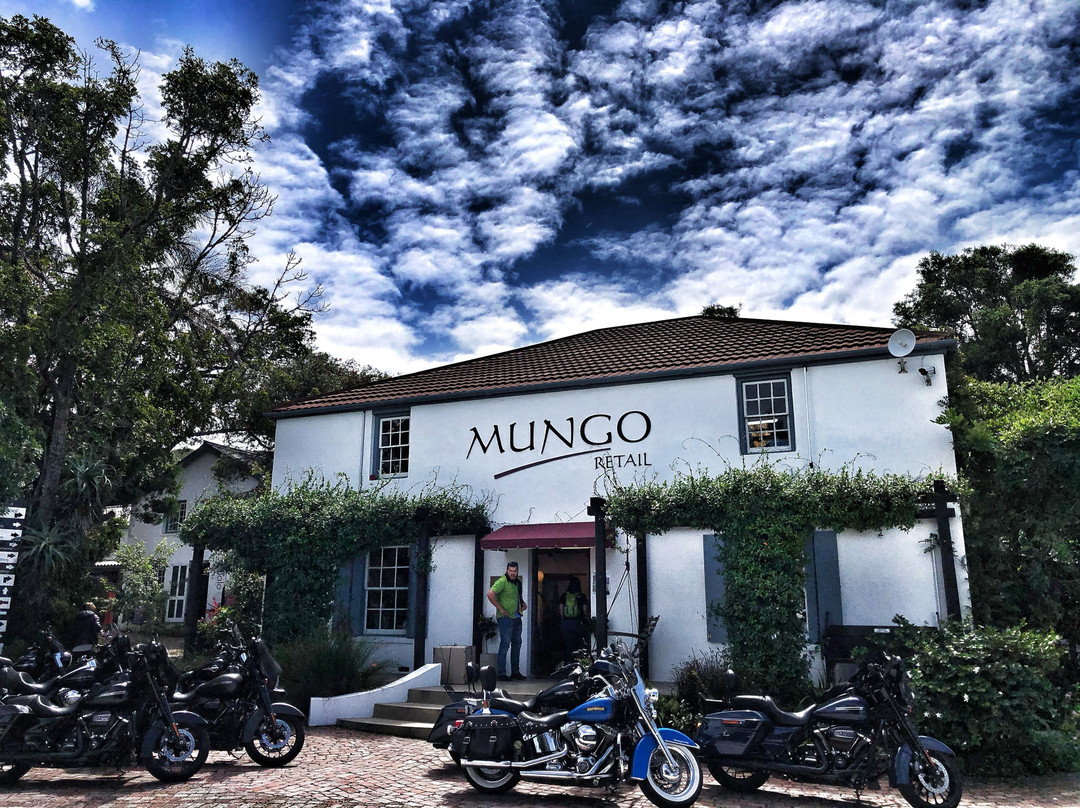 Mungo Mill-普利登堡湾必去景点