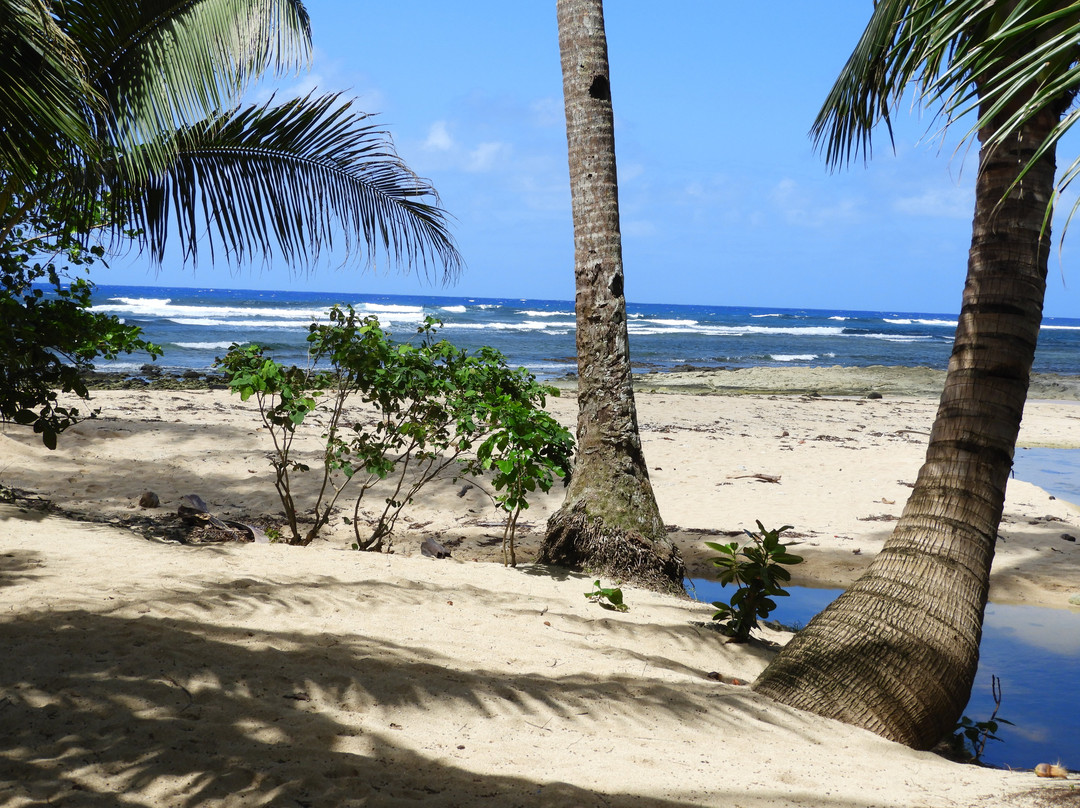 Alegria Beach-锡亚高岛必去景点