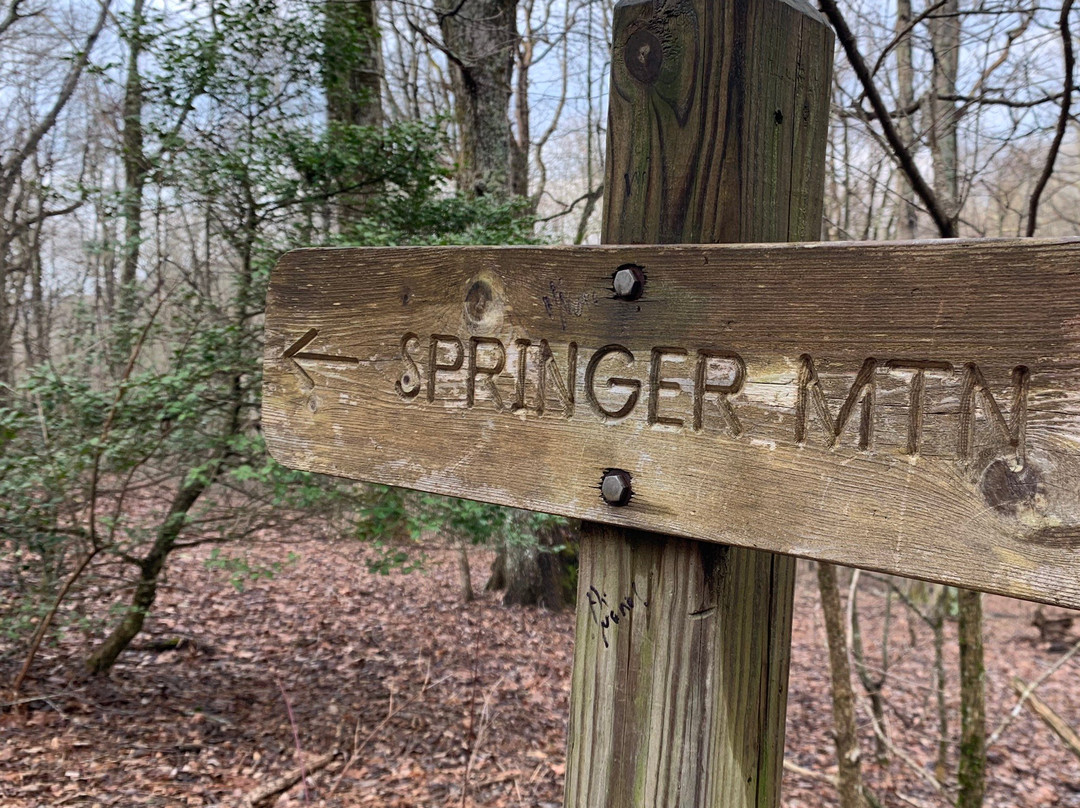 Springer Mountain景点图片