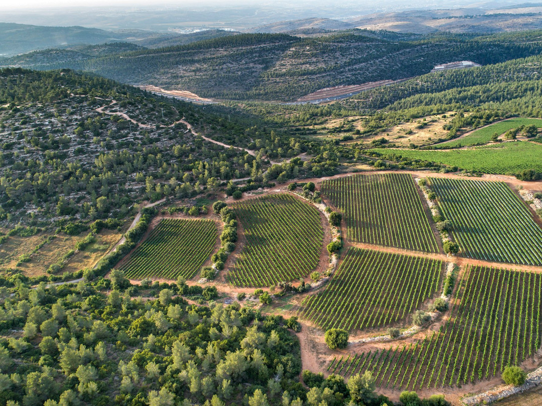 Tzora Vineyards-Beit Shemesh必去景点