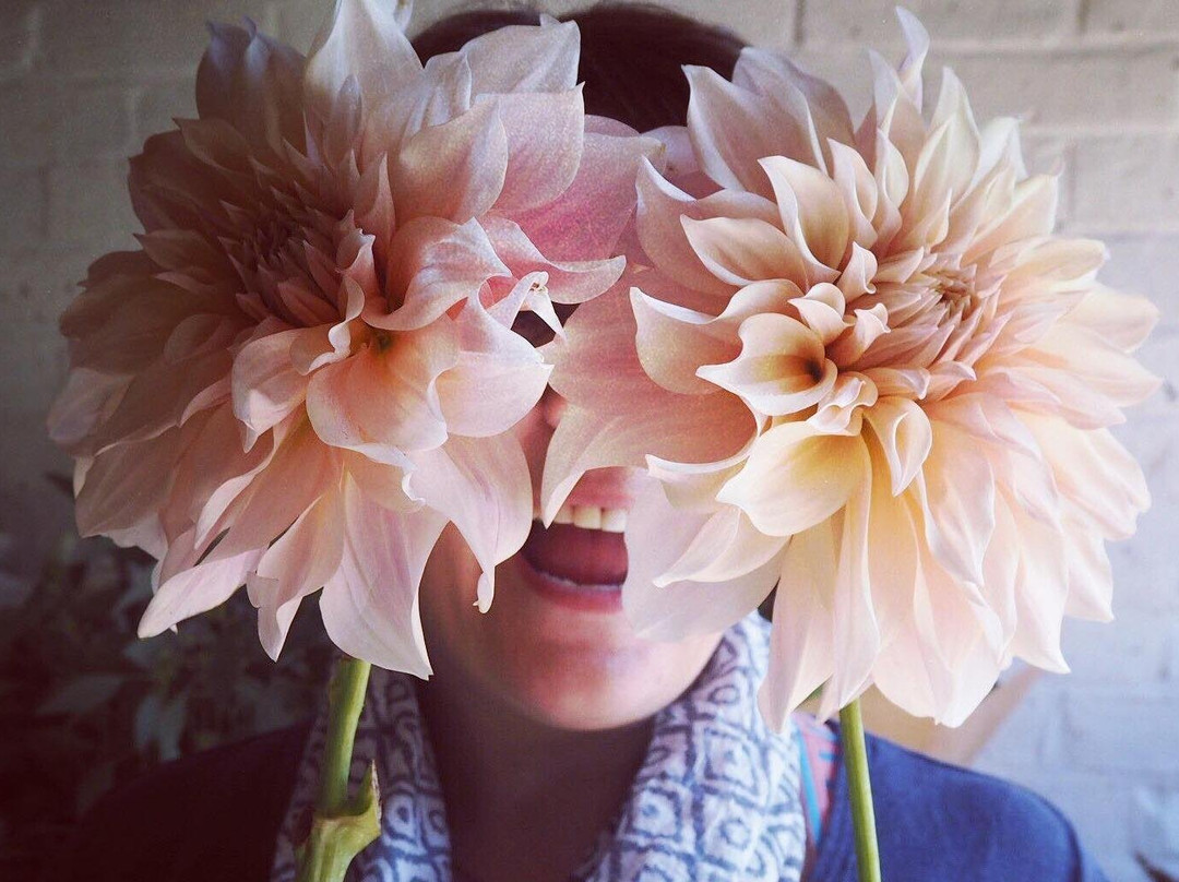 Mad Lilies Florists景点图片