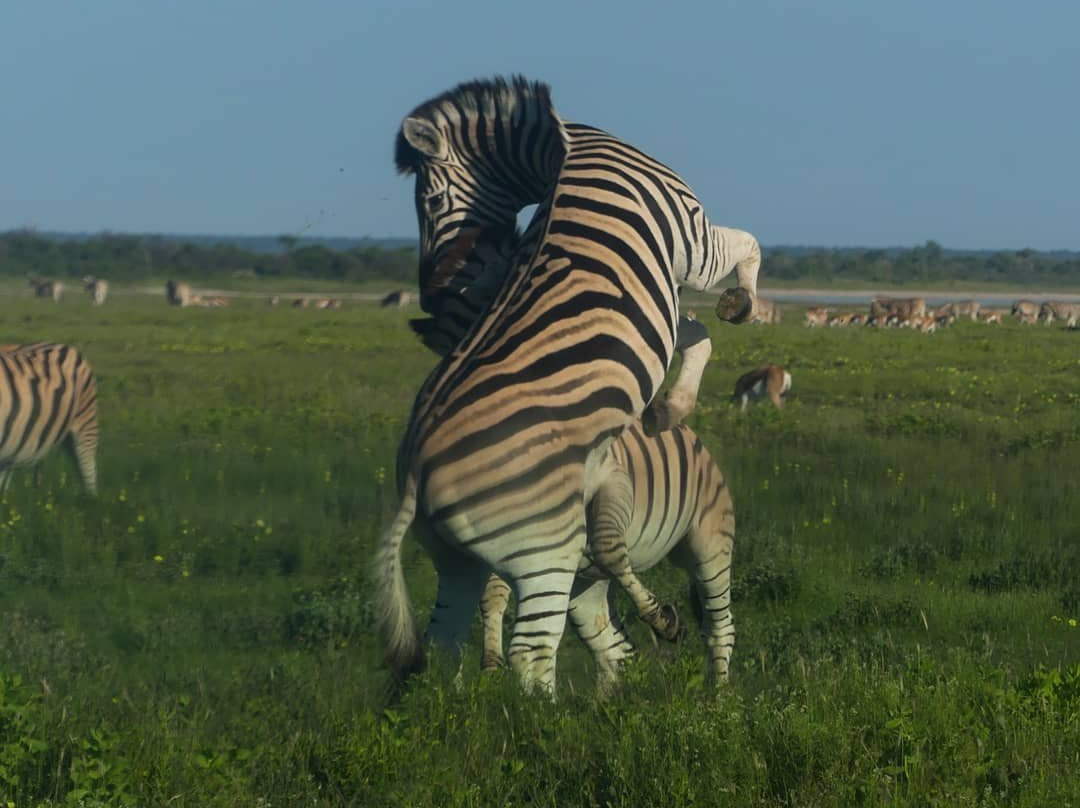 Don Tours & Safaris-温德和克必去景点