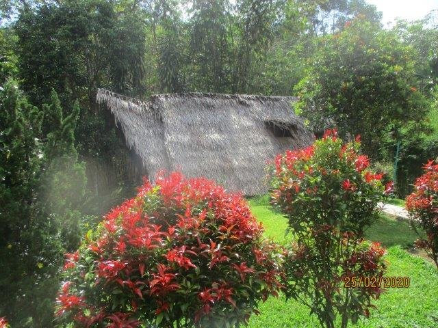 On the Rocks Bungalow & Restaurant主图