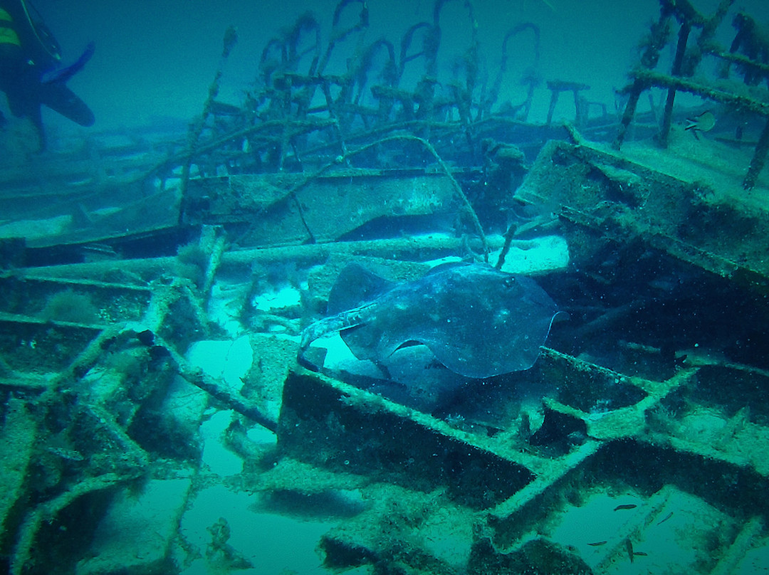 Top Diving Gran Canaria-波多黎各必去景点