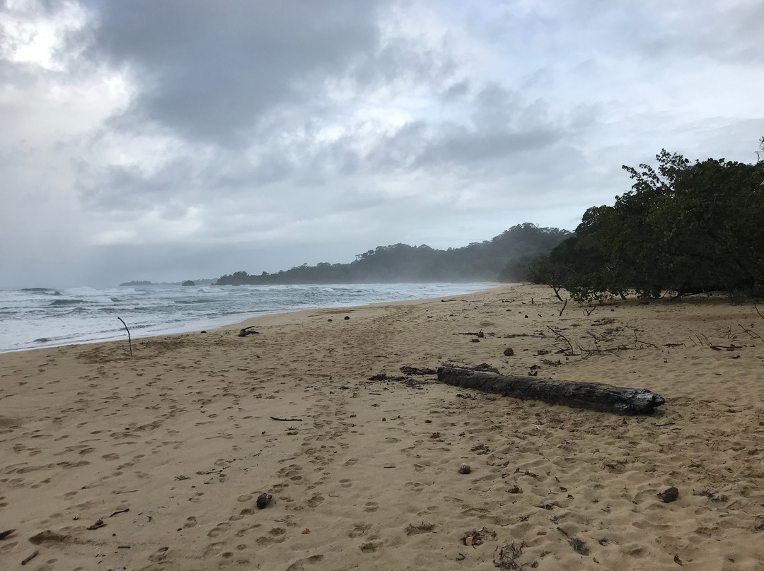 Wizard Beach景点图片