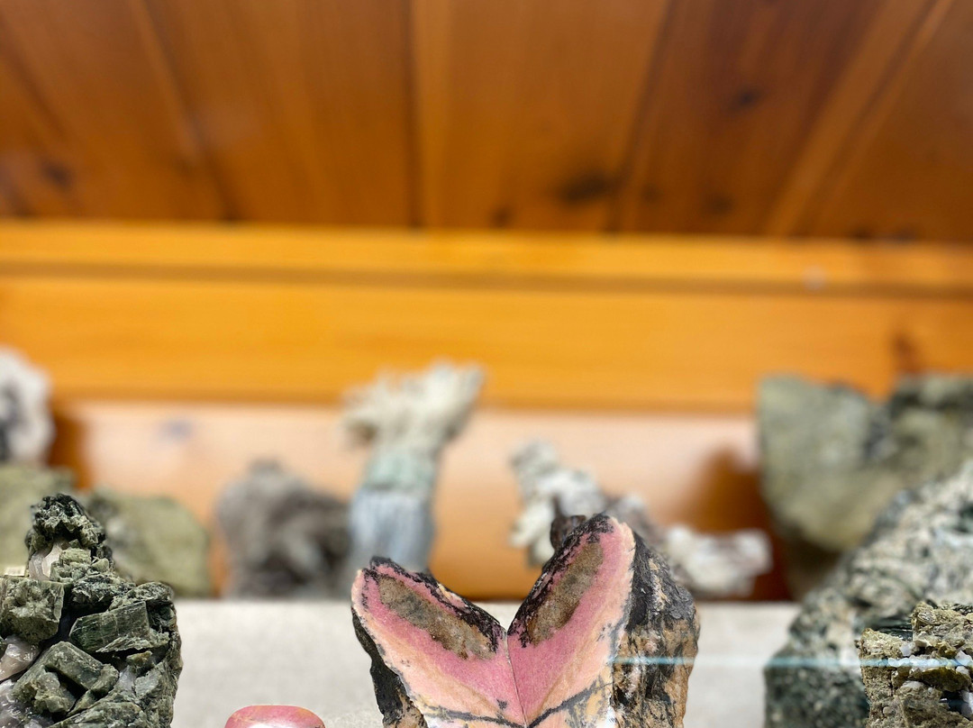 Museo Mineralogico e Naturalistico di Bormio景点图片