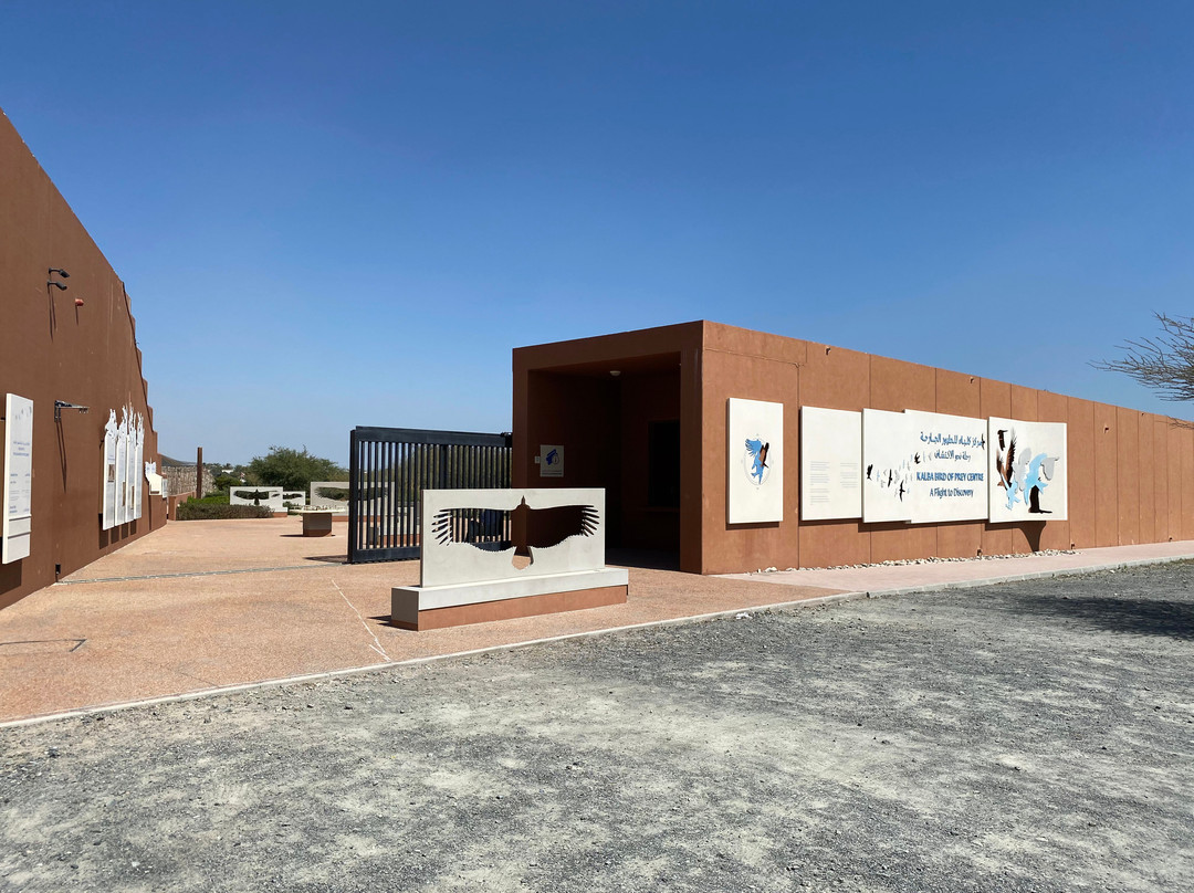 Kalba Bird of Prey Centre-富查伊拉必去景点