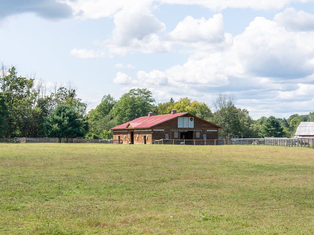 Woodstock Farm Sanctuary景点图片
