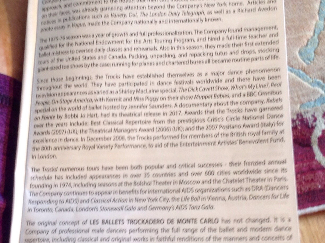 Mary D'Angelo Performing Arts Center-伊利必去景点