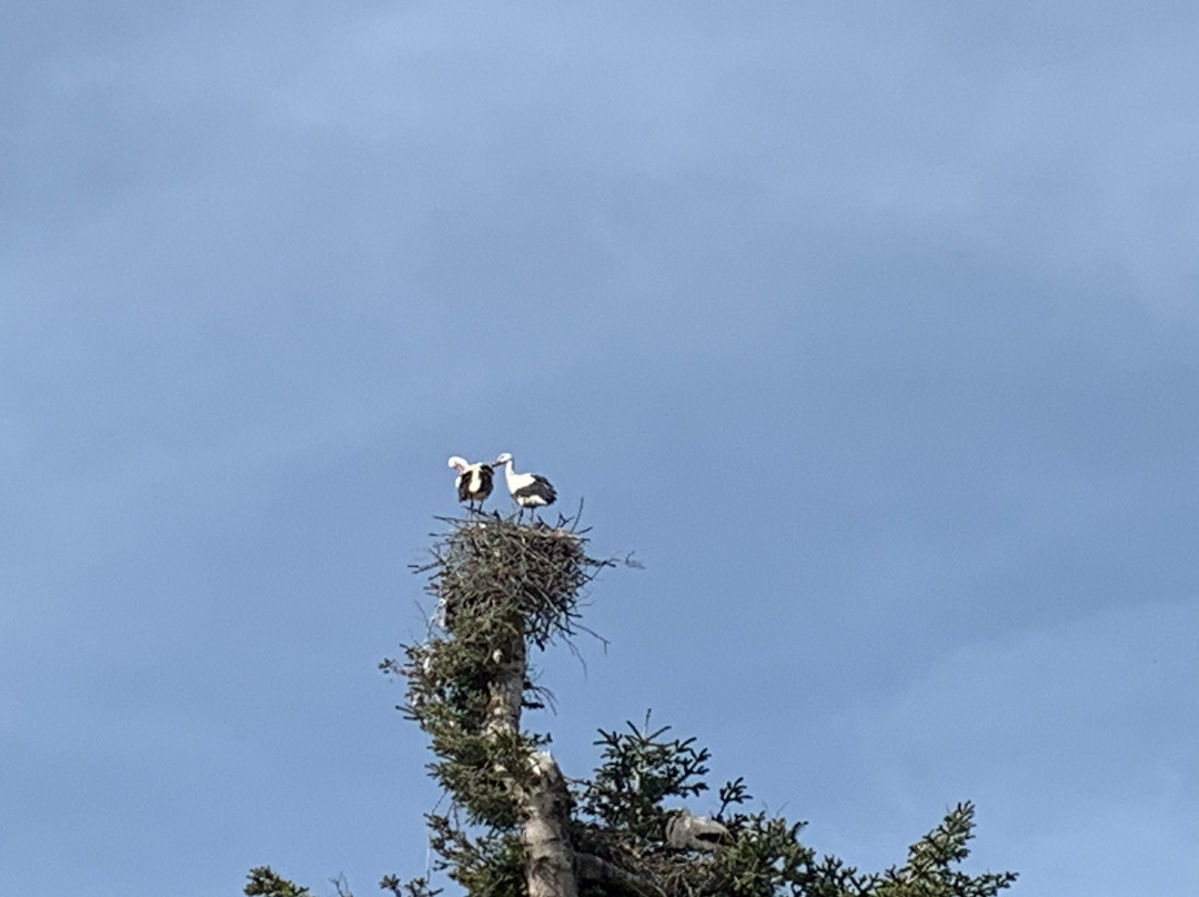 Jewish Segovia and Jewish  Toledo-马德里必去景点