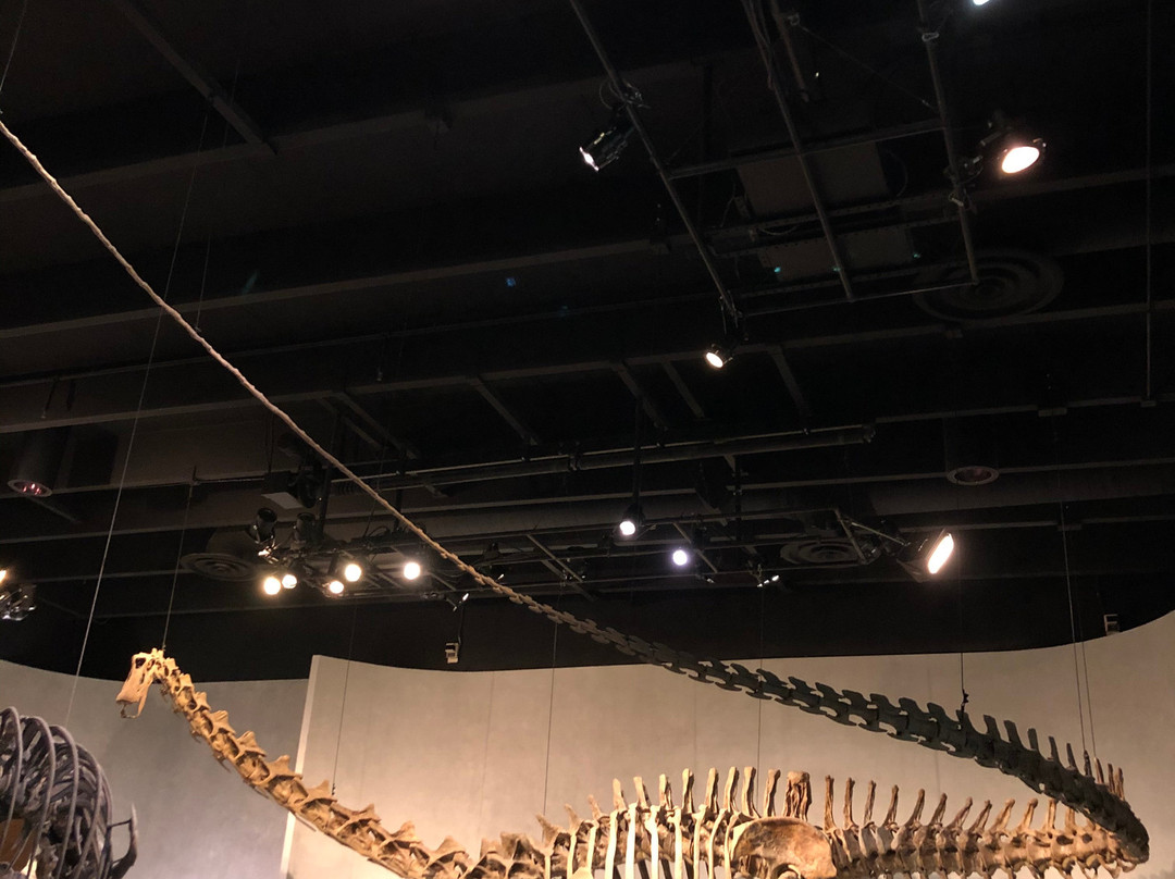 丹佛自然科学博物馆-丹佛必去景点