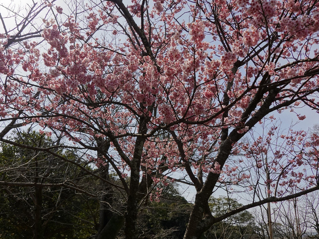 Omura Park-大村市必去景点