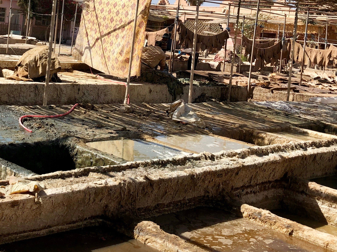 Tanneries-塔鲁丹特必去景点