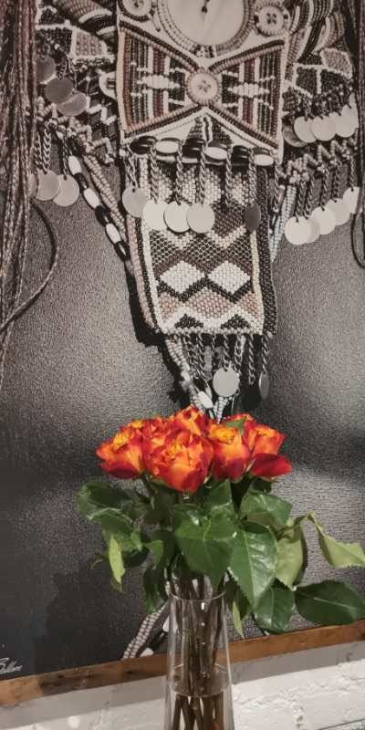 Dynasty Forest Sandown Accommodation主图