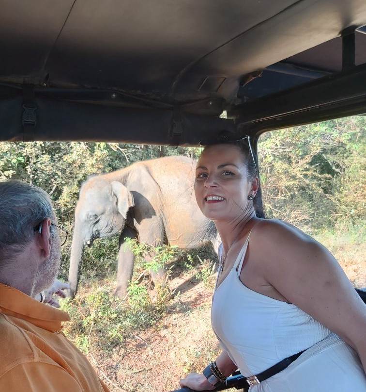 Yala Safari Holidays - Private Game Drives-雅拉国家公园必去景点