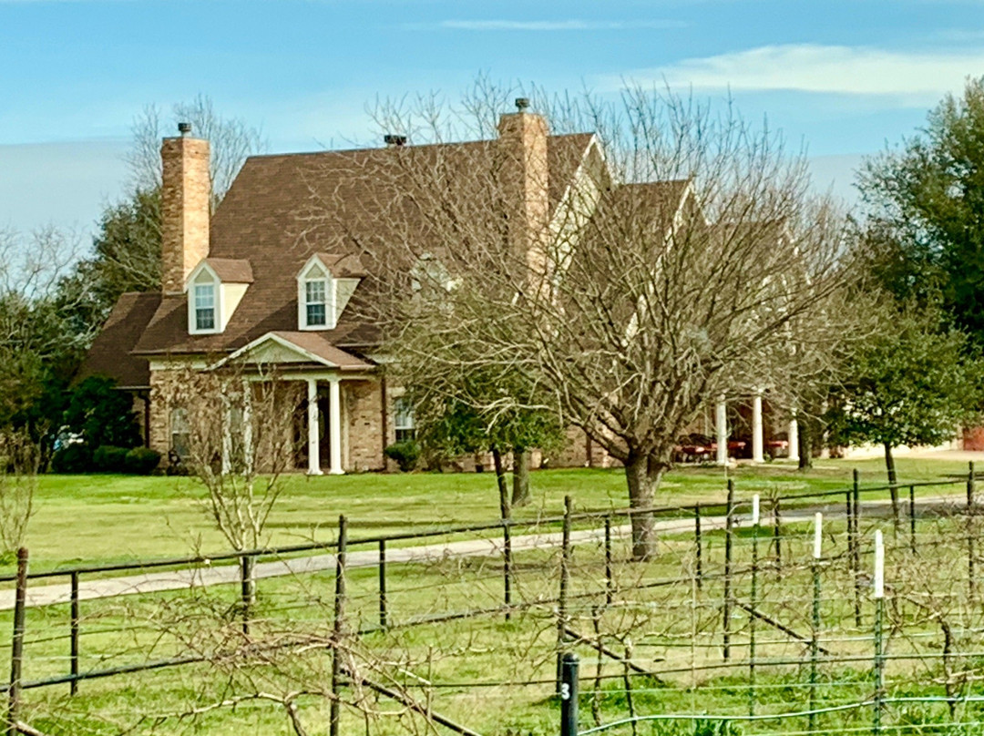 Angelita Vineyard & Winery-Corsicana必去景点