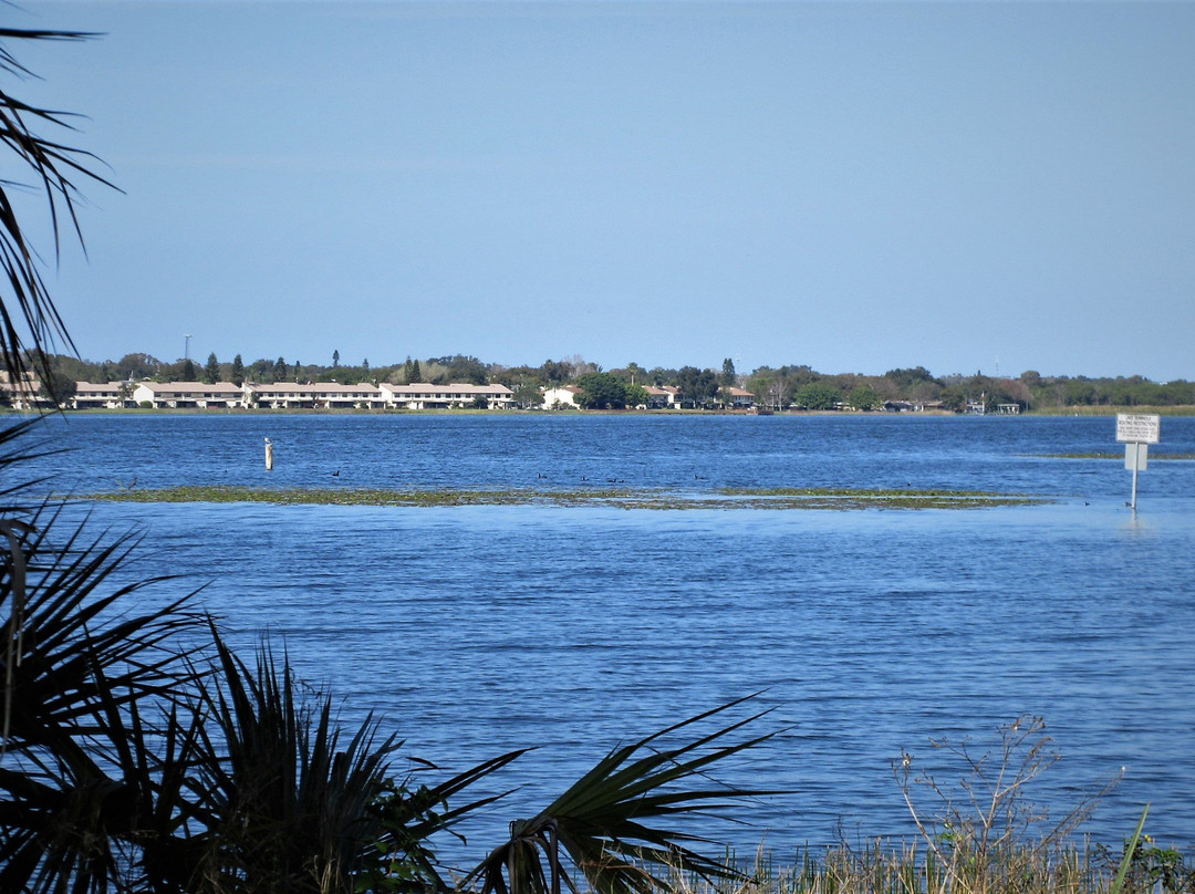 Lake Seminole Park景点图片