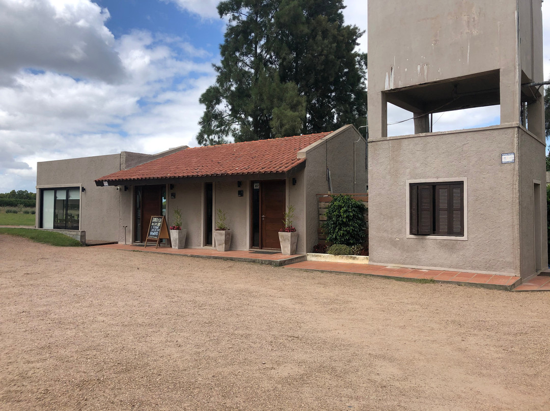 Pizzorno Lodge & Wine主图