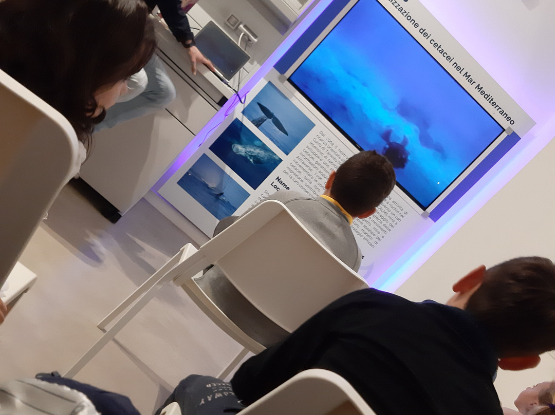 KĒTOS - centro euromediterraneo del mare e dei cetacei-塔兰托必去景点
