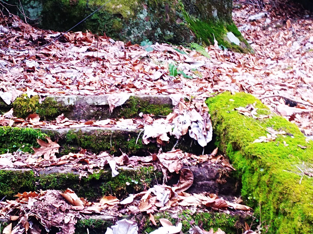 Pine Mountain State Resort Park-Pineville必去景点