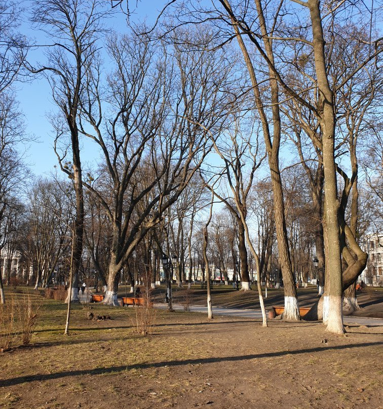Mariinsky Park-基辅必去景点