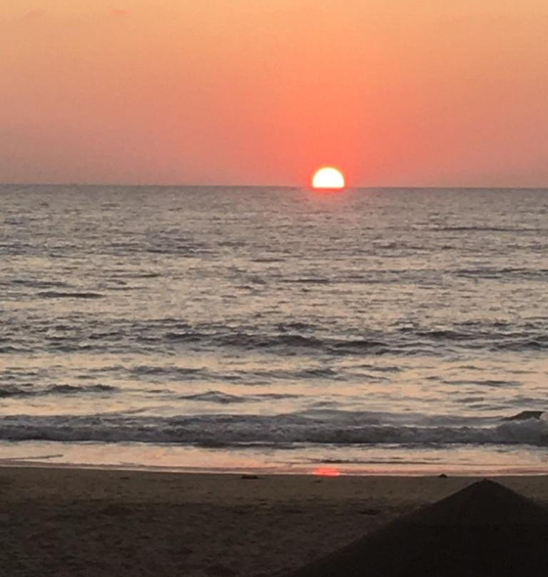 Bougainvillea Patnem主图