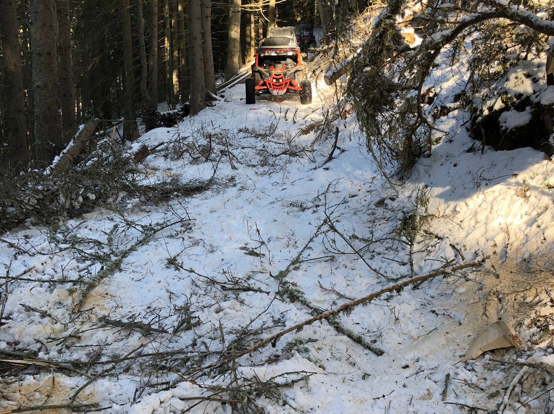 White Dove Pension主图