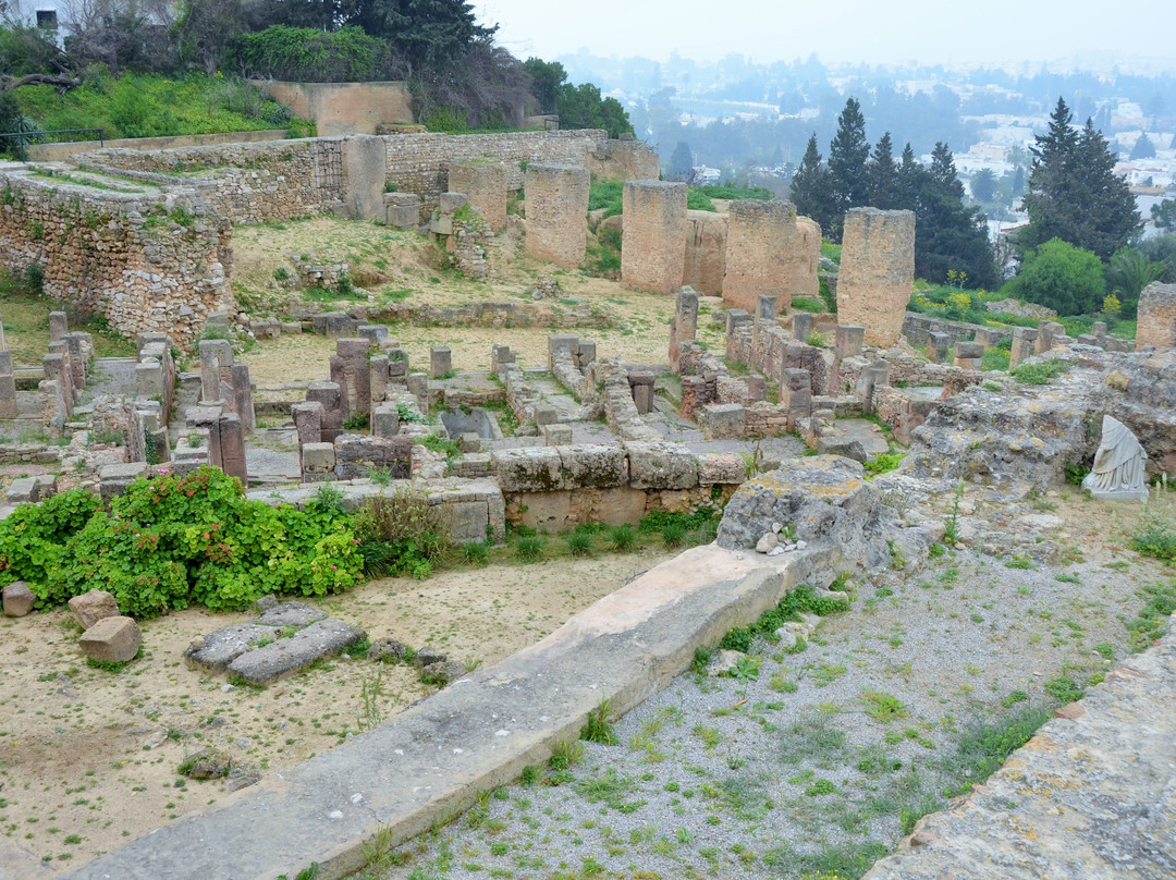 Tophet de Carthage景点图片