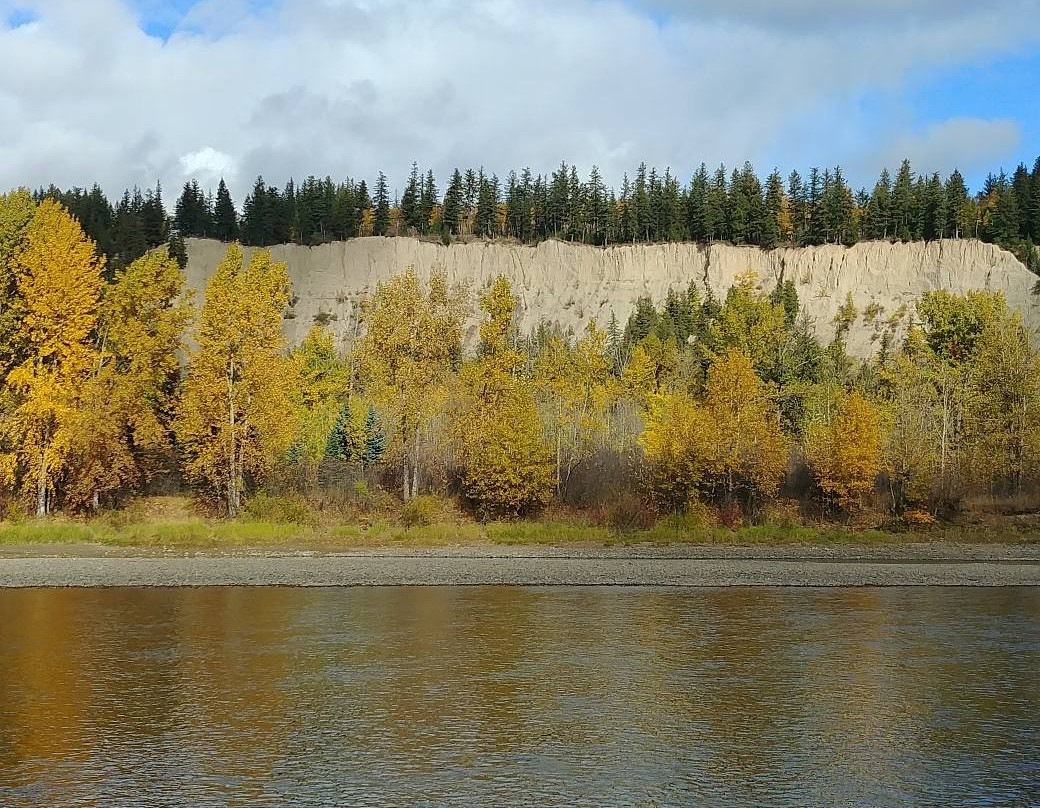 Cottonwood Island Nature Park景点图片