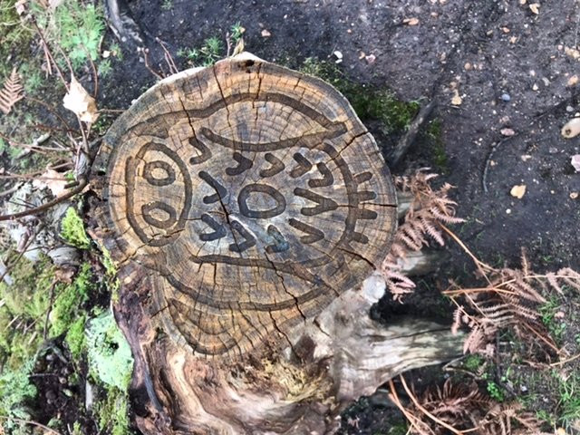 Wildart Trail景点图片