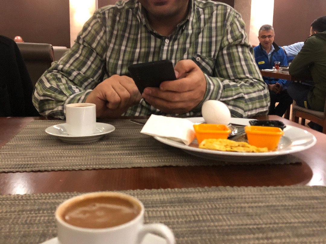 Ramada Plaza By Wyndham Malatya Altin Kayisi主图