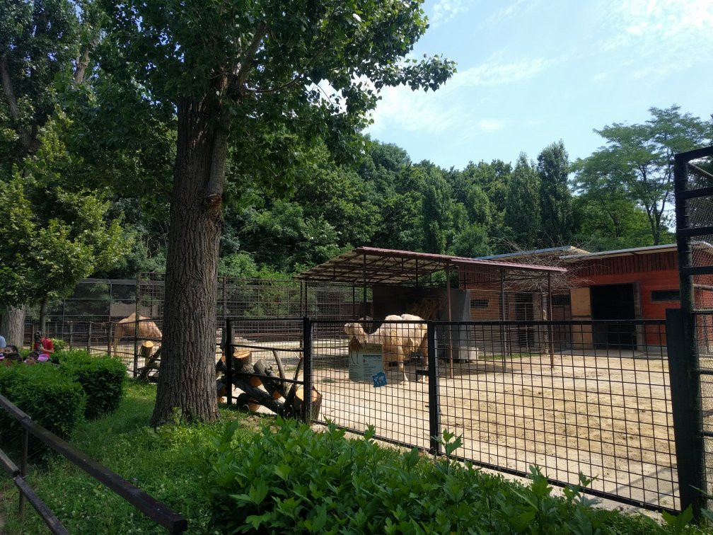 Bucharest Zoo景点图片