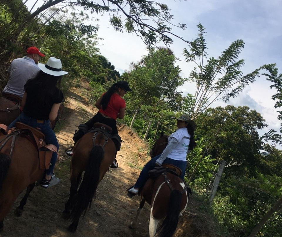 Cabalgatas El Carmelo-La Tebaida必去景点