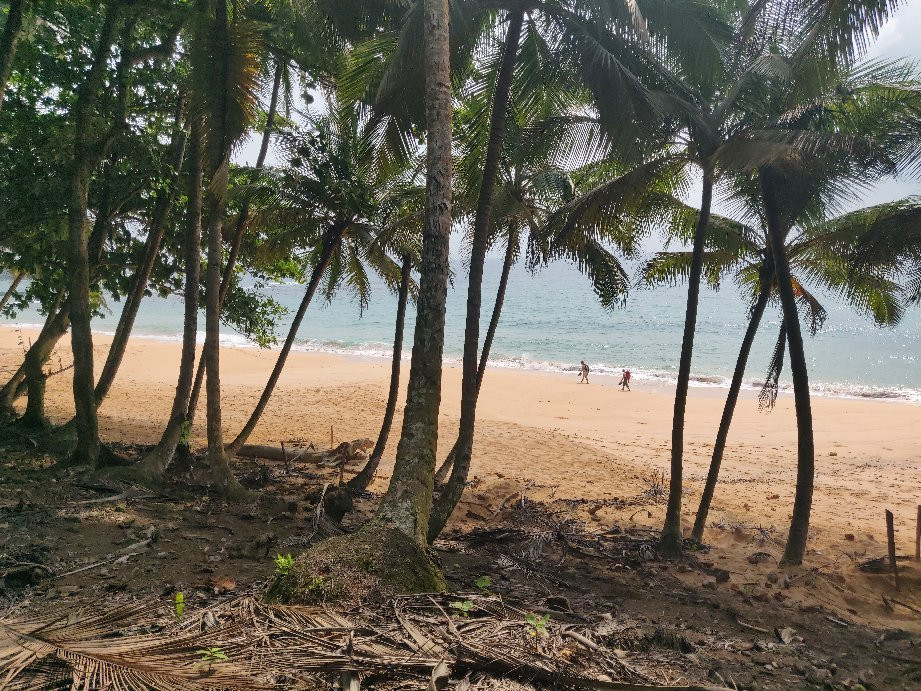Praia Jale景点图片