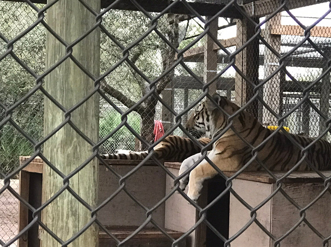 Central Florida Animal Reserve-圣克劳德必去景点