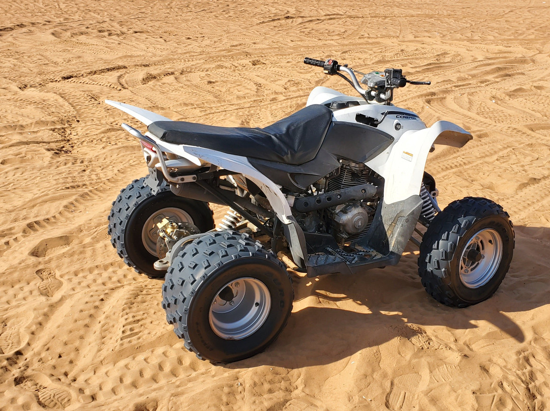 Dubai Desert Tours-迪拜必去景点