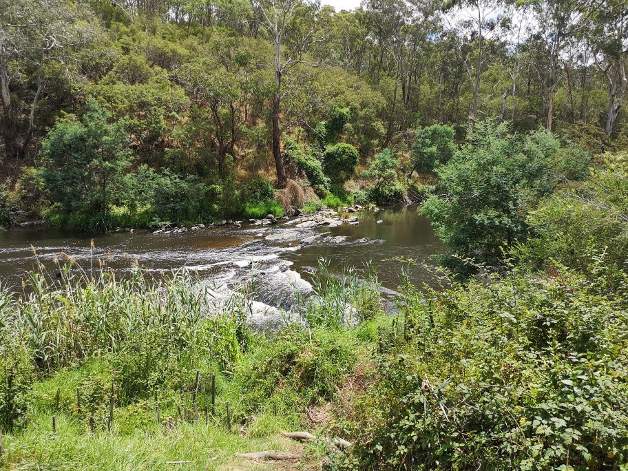 Warrandyte River Reserve景点图片