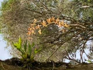 Truman Adventure-Ibague必去景点