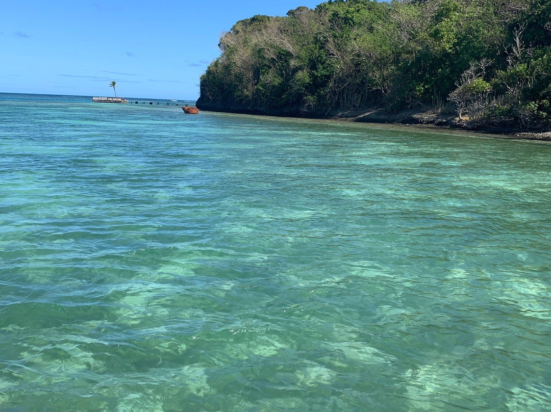 CaptainManou Excursions Nautiques-Le Robert必去景点
