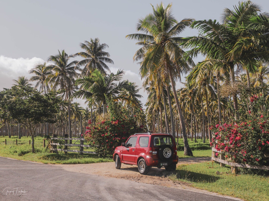 World Car Rentals Vanuatu-维拉港必去景点