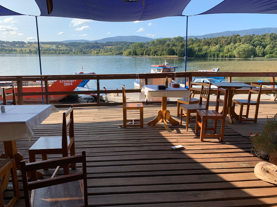 Hostal Puerto Futrono主图