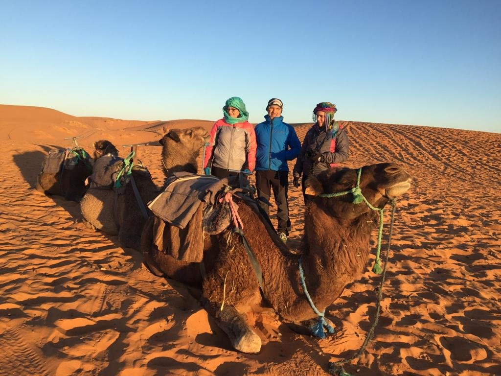 Merzouga Camel Trekking - Day Tours-梅如卡必去景点