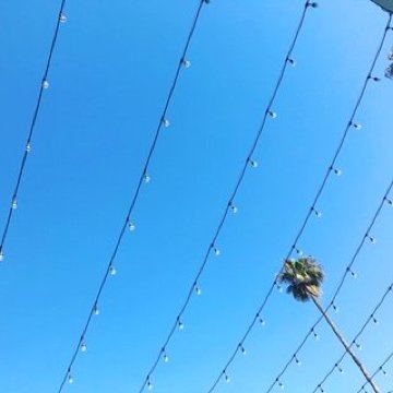 肯尼 - 威尼斯海滩酒店-泳池