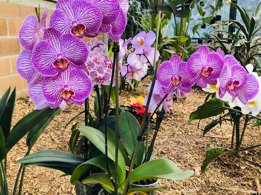 BiOri-欧瑞扎巴必去景点