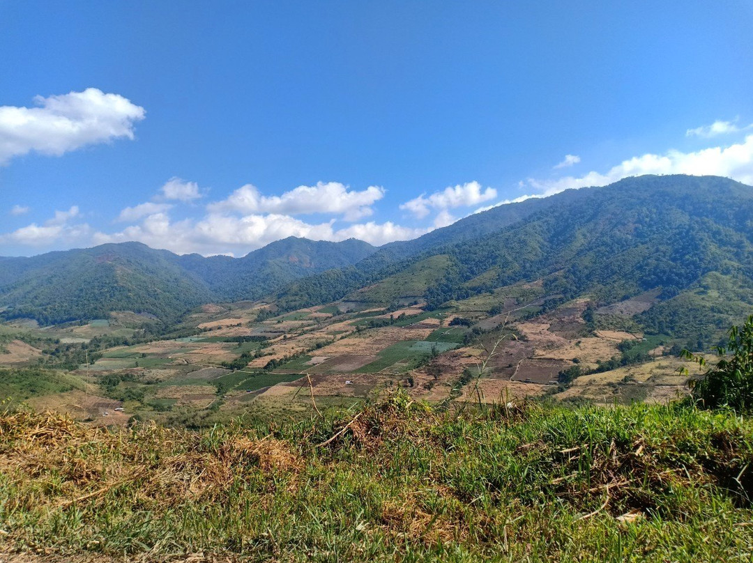 View Point