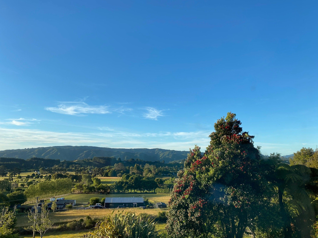 Arorangi Bed and Breakfast