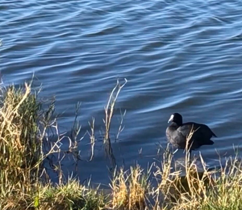 Palm Island Park-Mount Dora必去景点