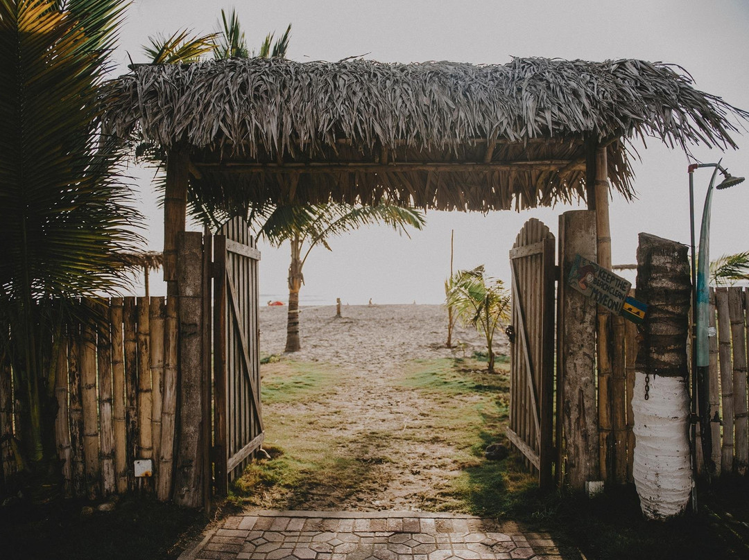 Salty Souls Experience-Montanita必去景点